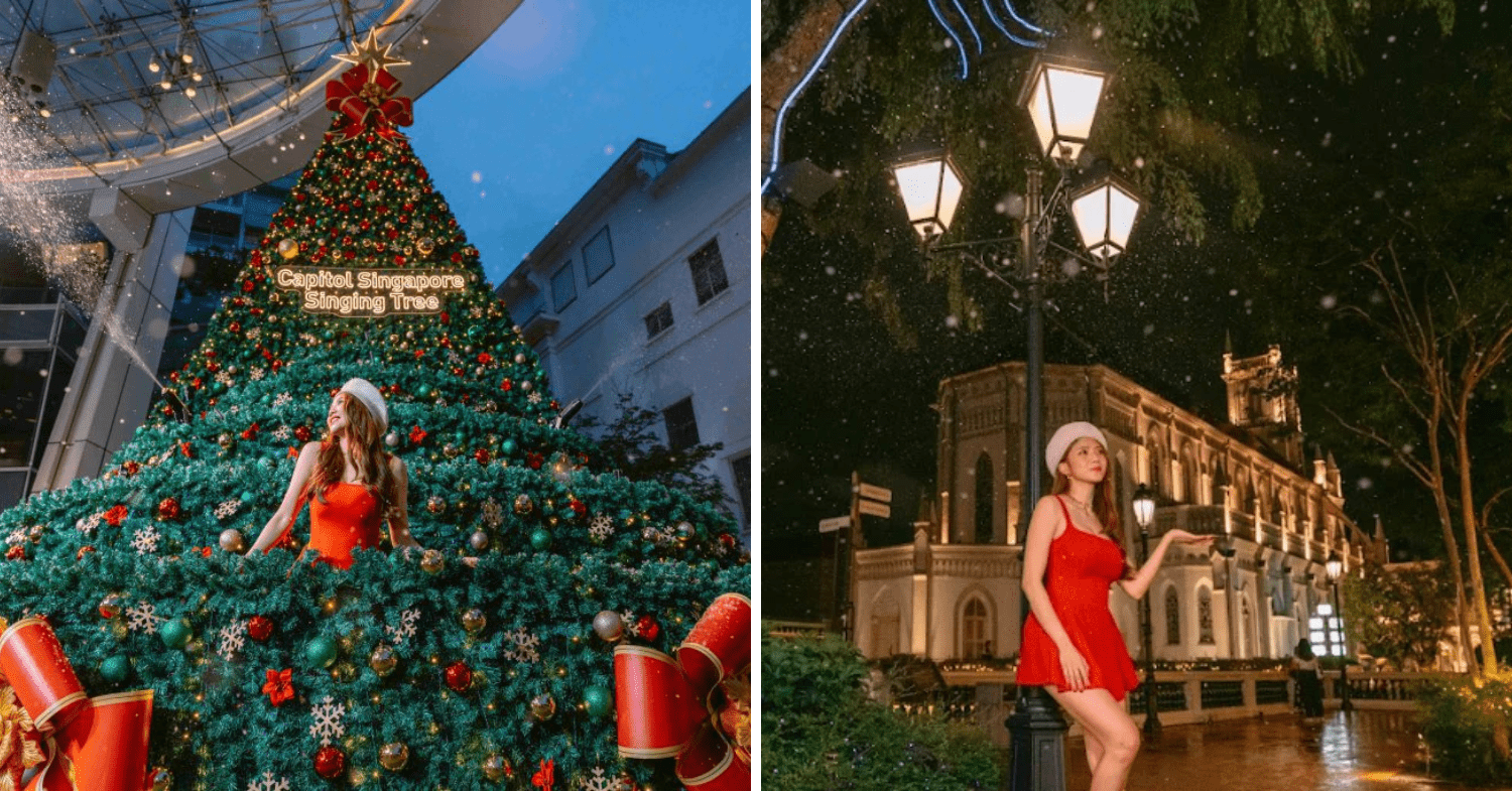 Christmas Displays 2025 - Christmas Enchantment