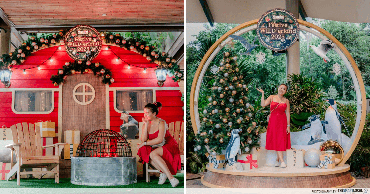 Festive WILD-erland photo spots