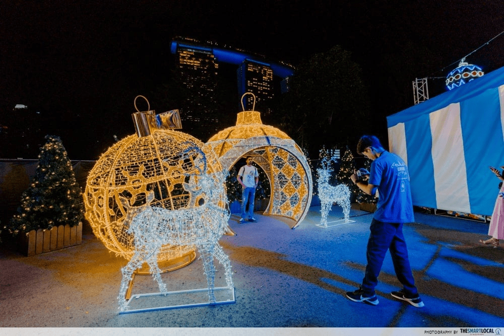 Gardens by the Bay Christmas Wonderland 2