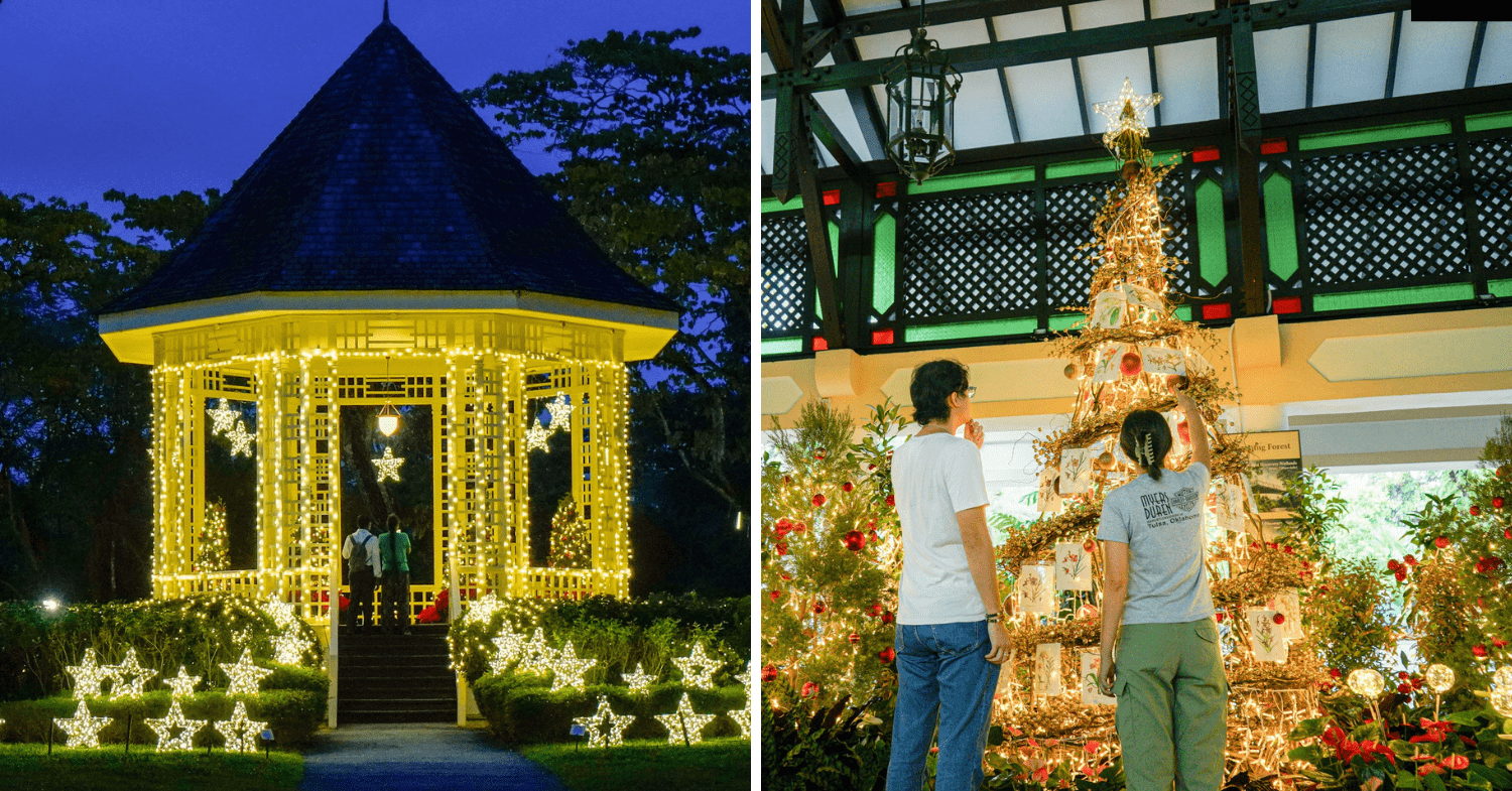 Christmas Displays - Trees of the World