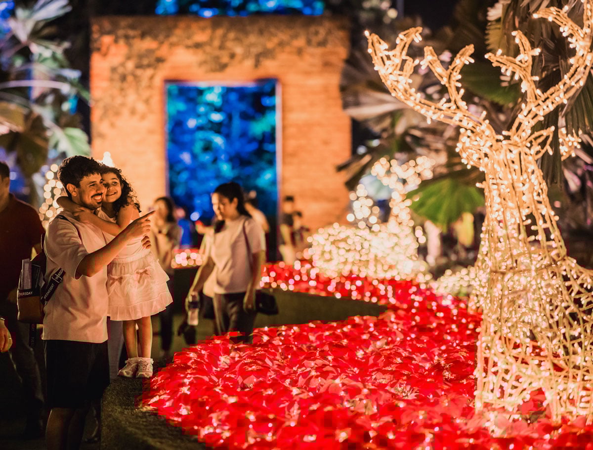 Christmas Wonderland 2025 Enchanted Blooms Reindeer