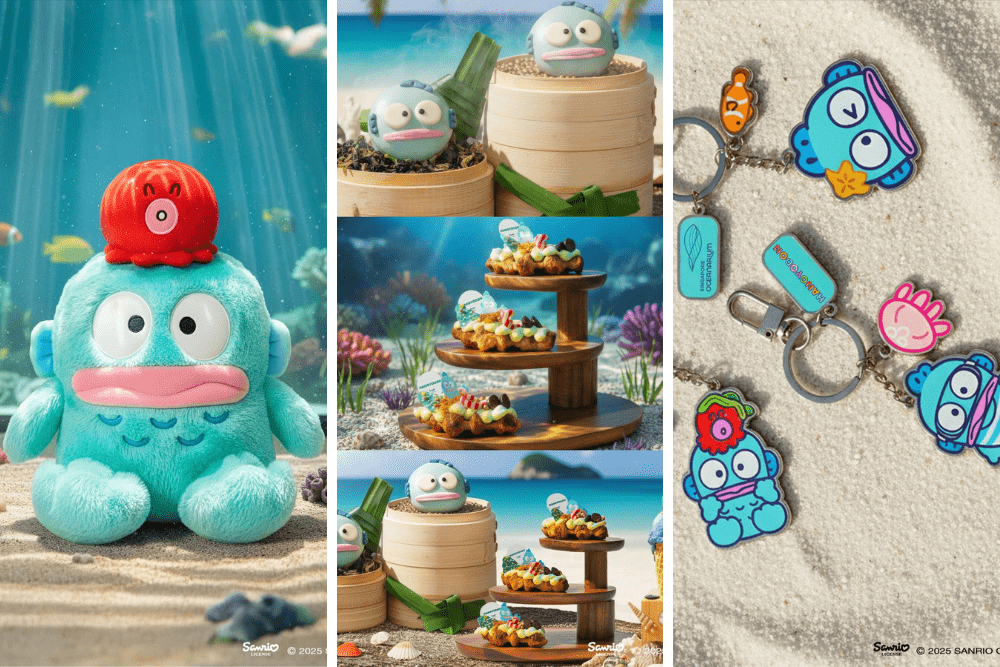 Monthly kid-friendly things to do in Singapore - hongyodon marine discovery oceanarium