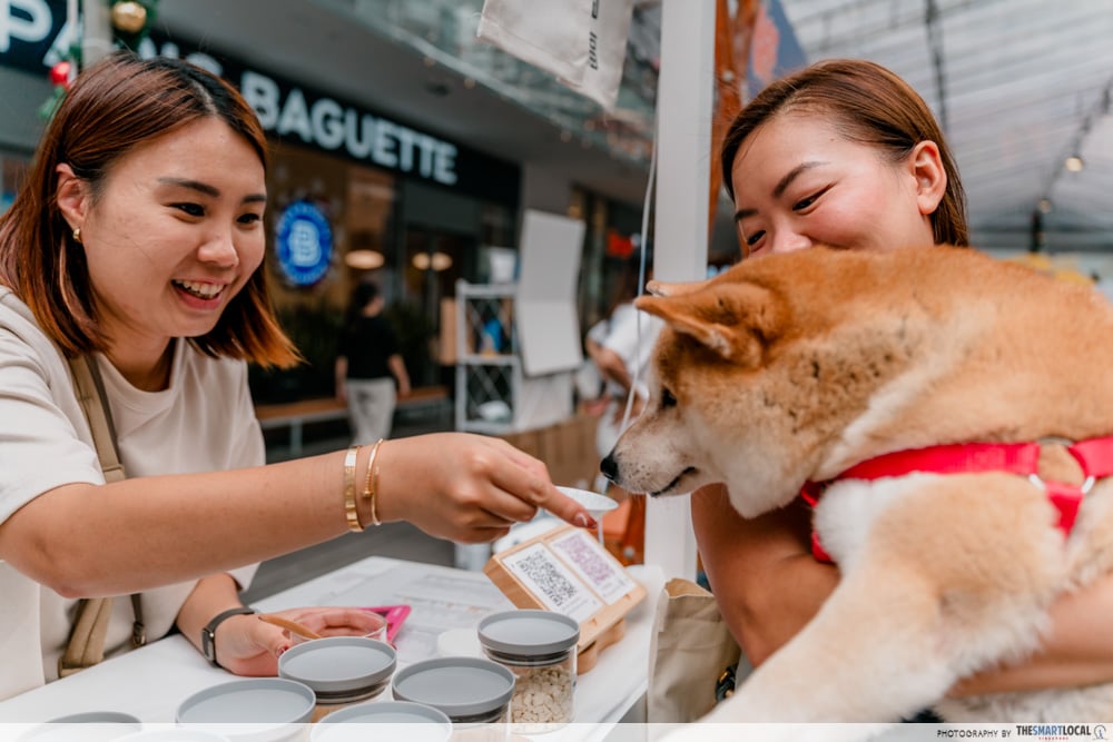 big furry festival - free samples