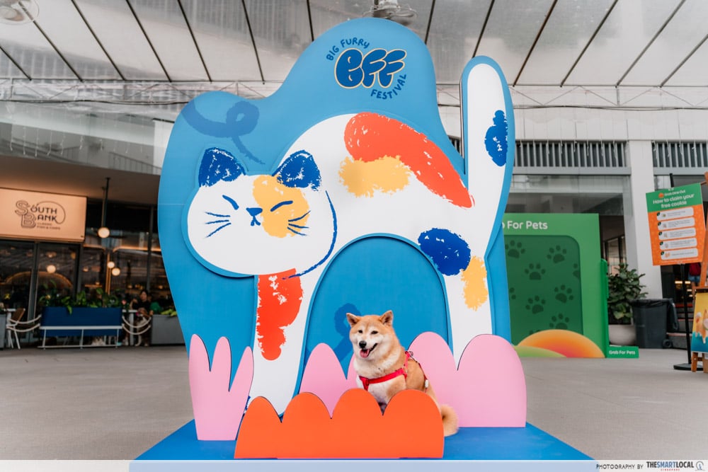 big furry festival - pet photo point 2