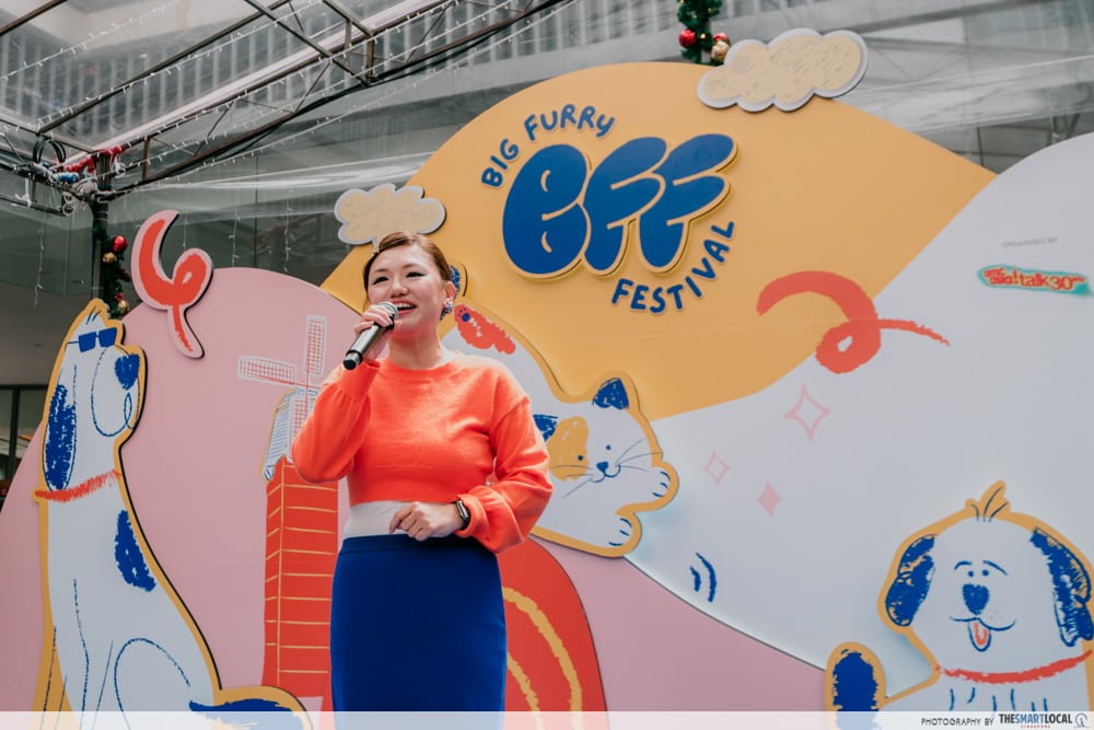 big furry festival - stage