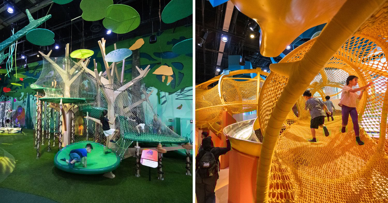 curiosity cove - family activities to do in singapore