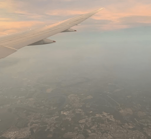 Falling sick during vacation - Common causes for falling sick during vacation (5)