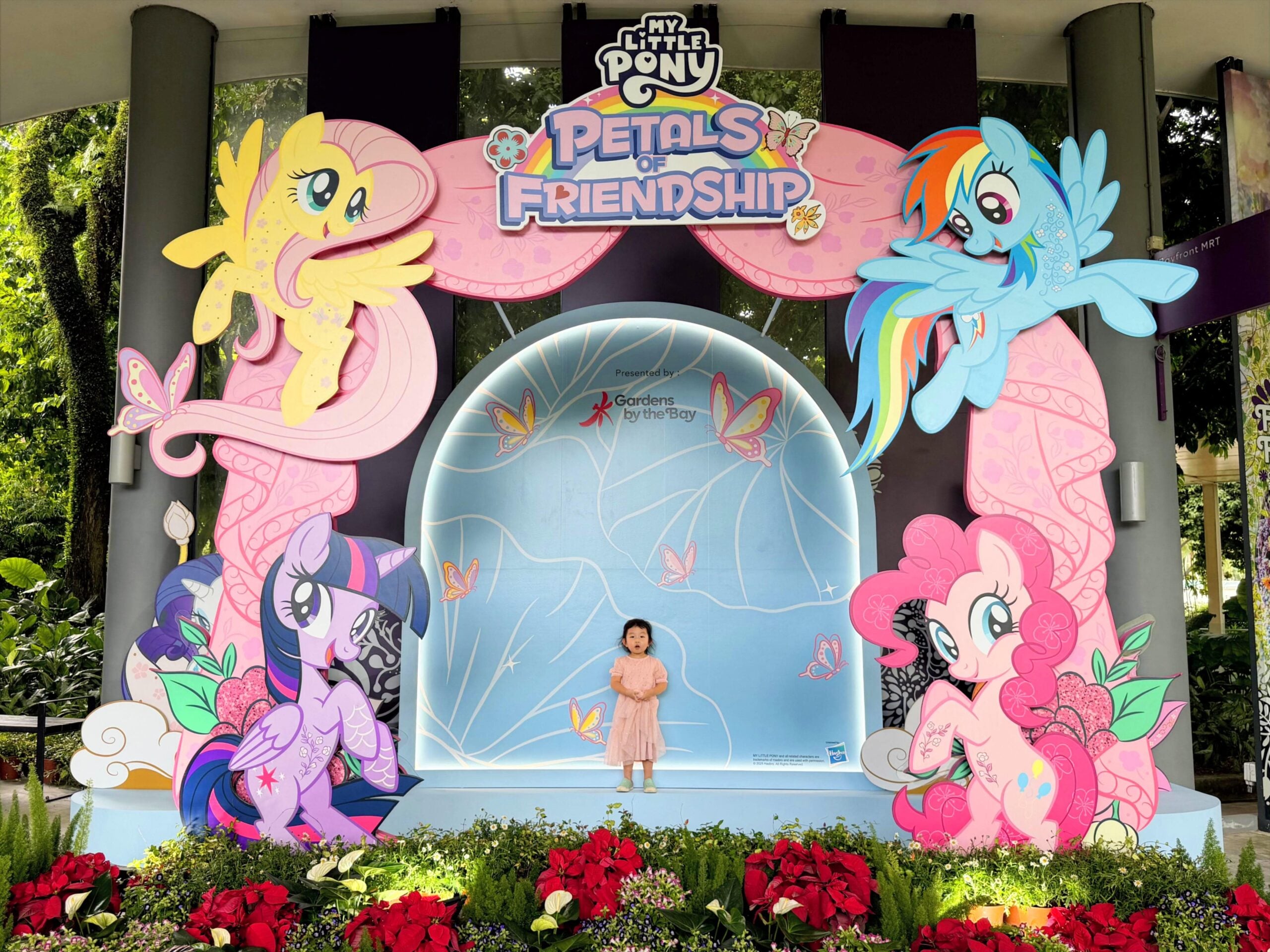 petals of friendship my little pony - photo point-min