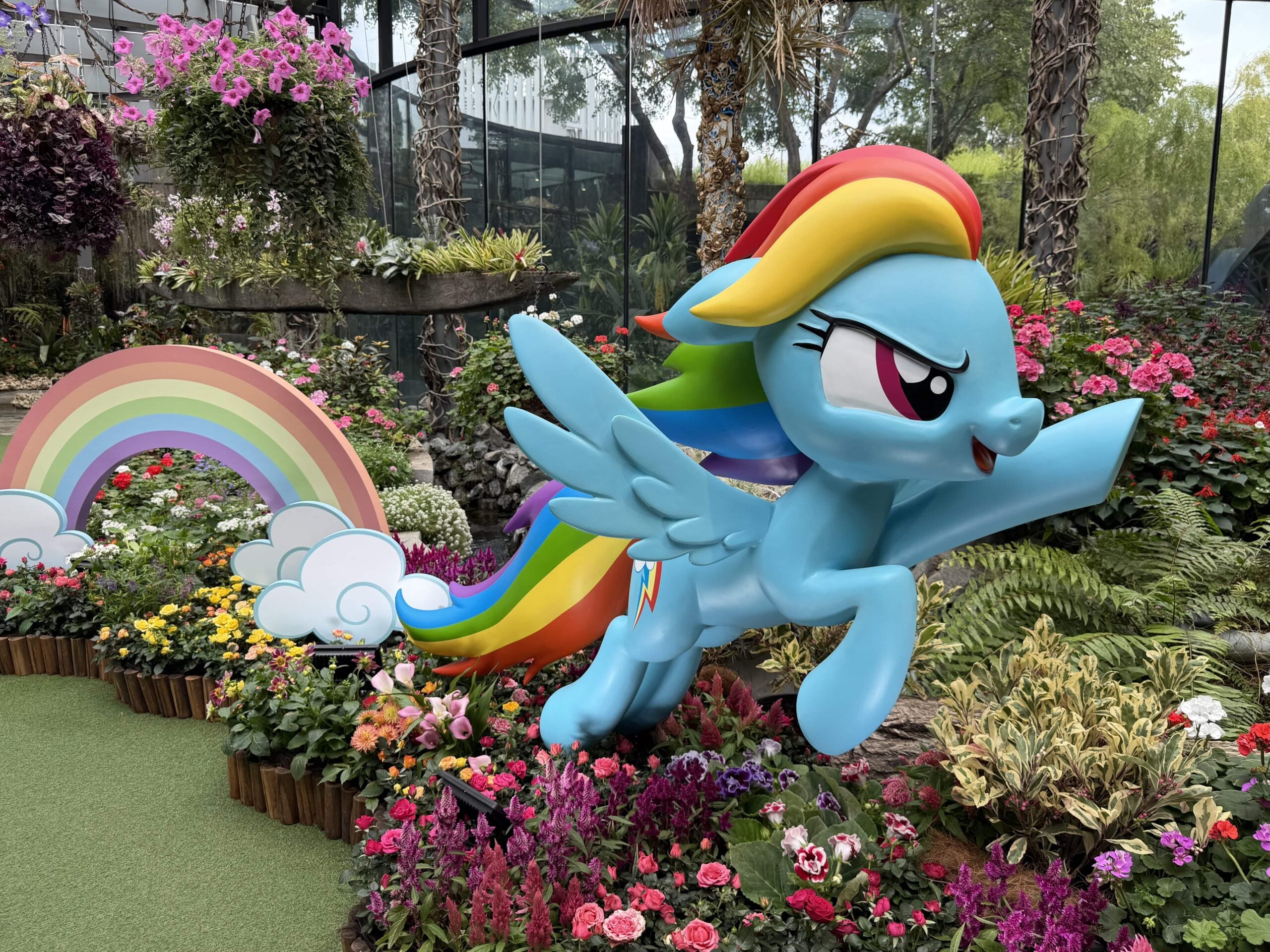 petals of friendship my little pony - rainbow dash-min