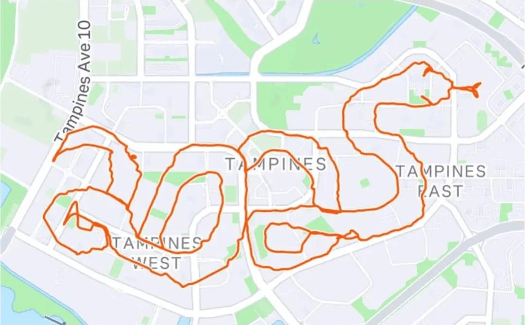 snake-shaped Strava route