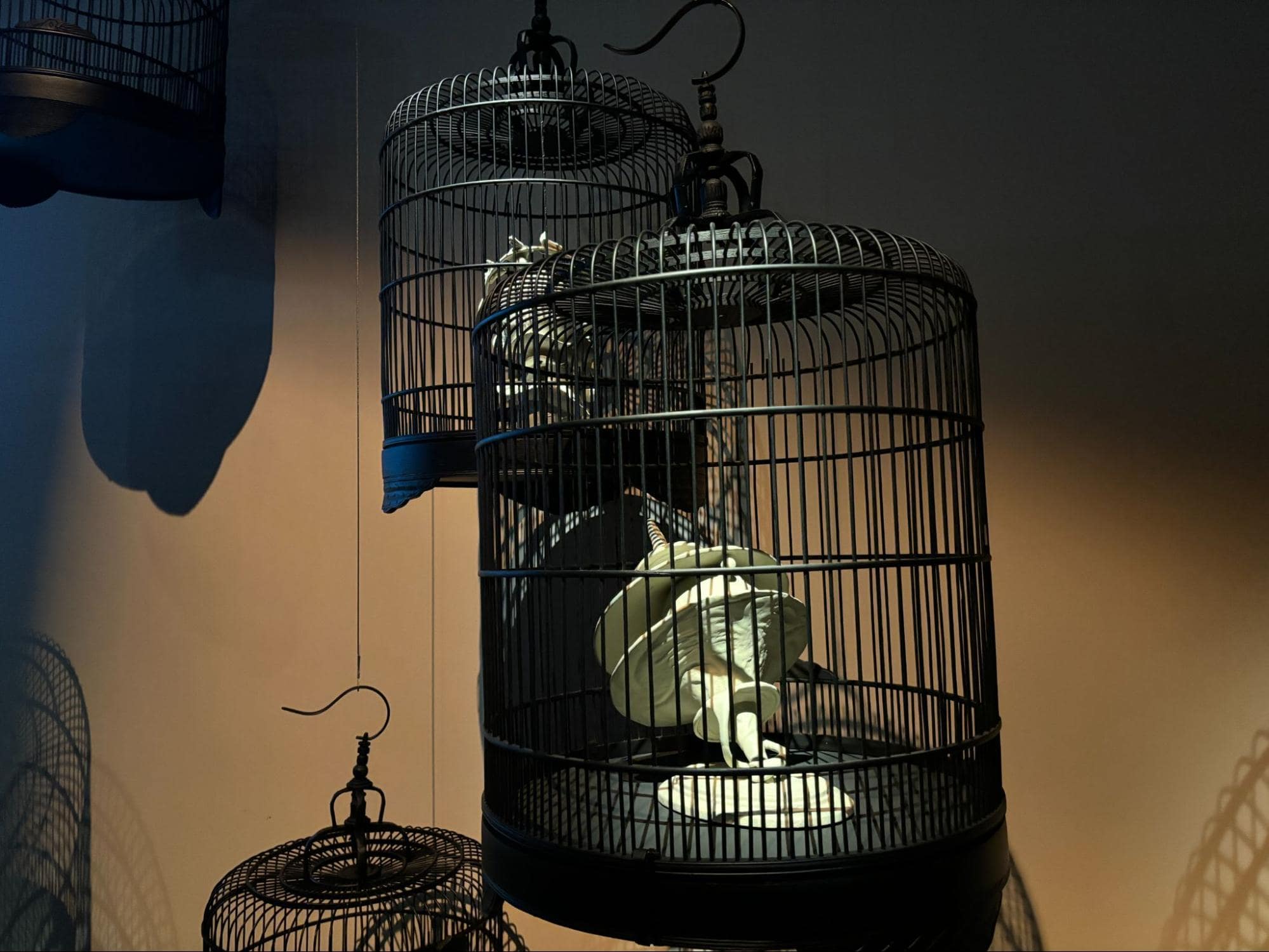 sg-exclusive installation