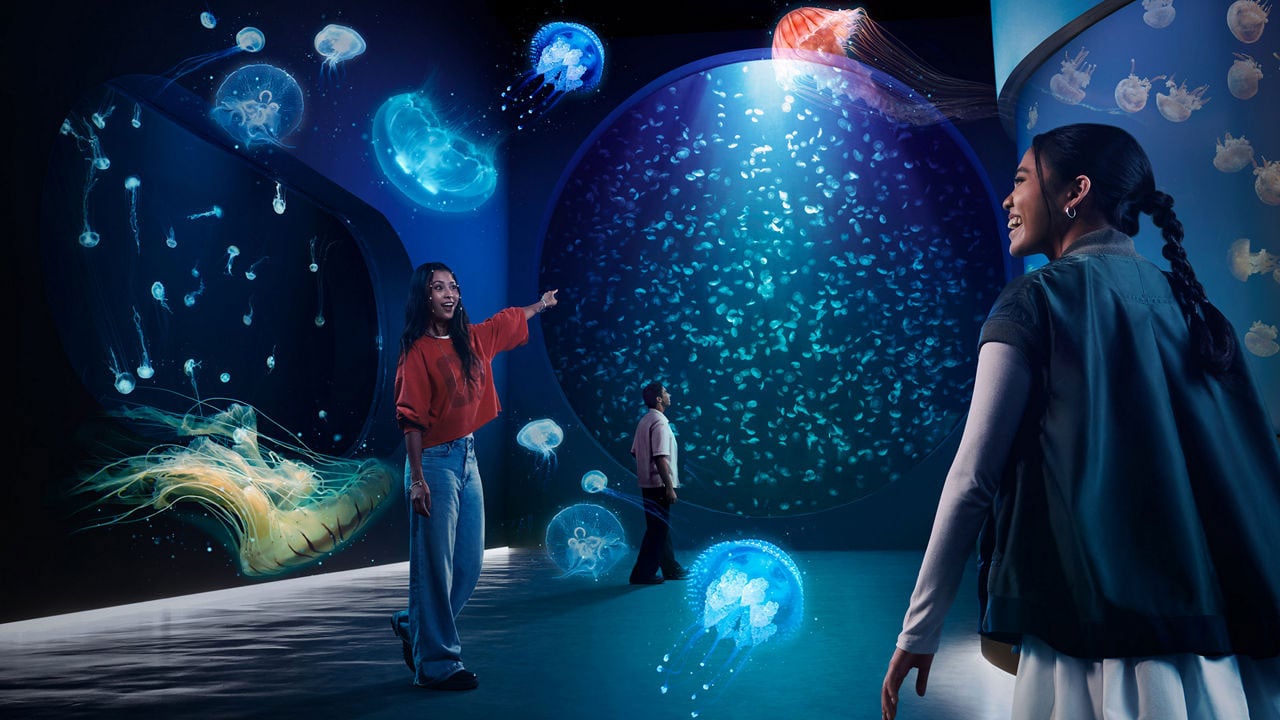 singapore oceanarium