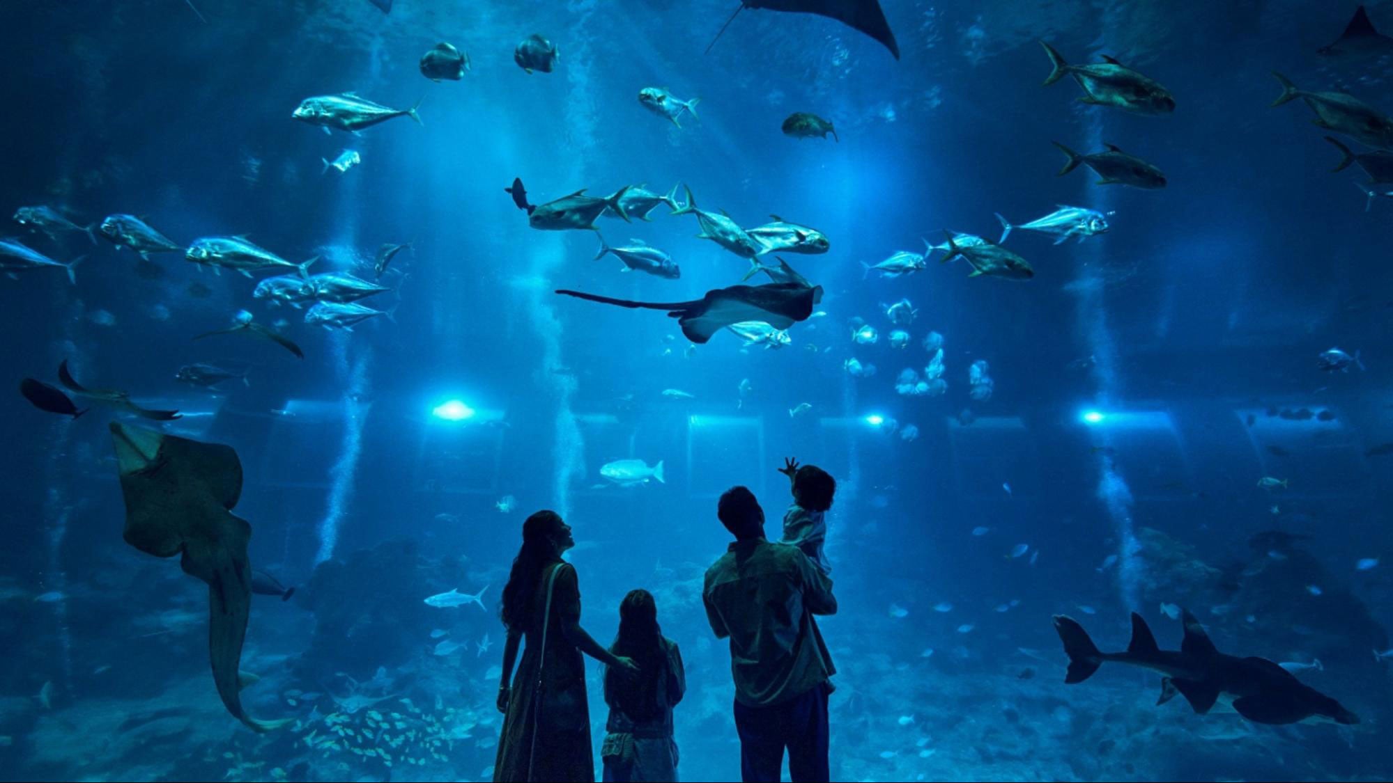 singapore oceanarium - family activities to do in singapore
