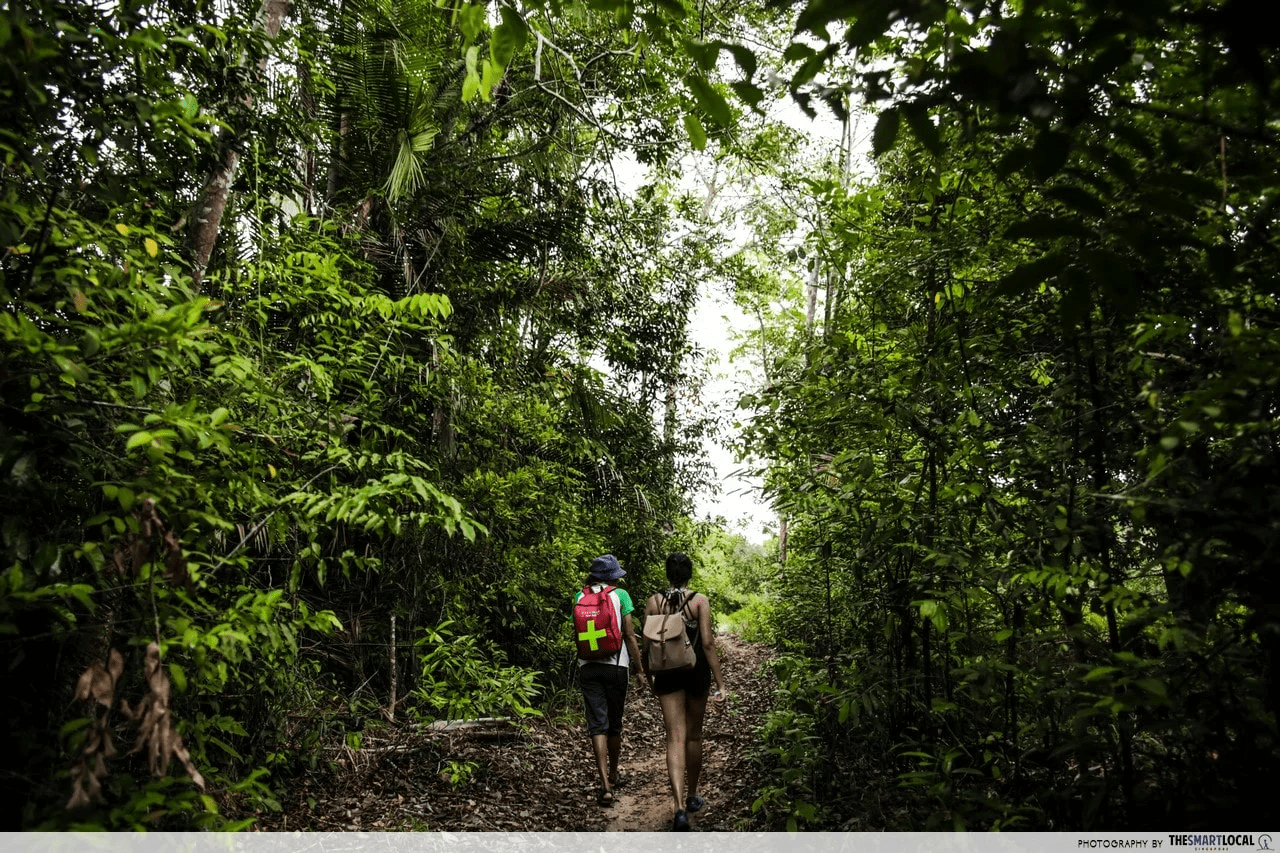 telunas - hiking trail