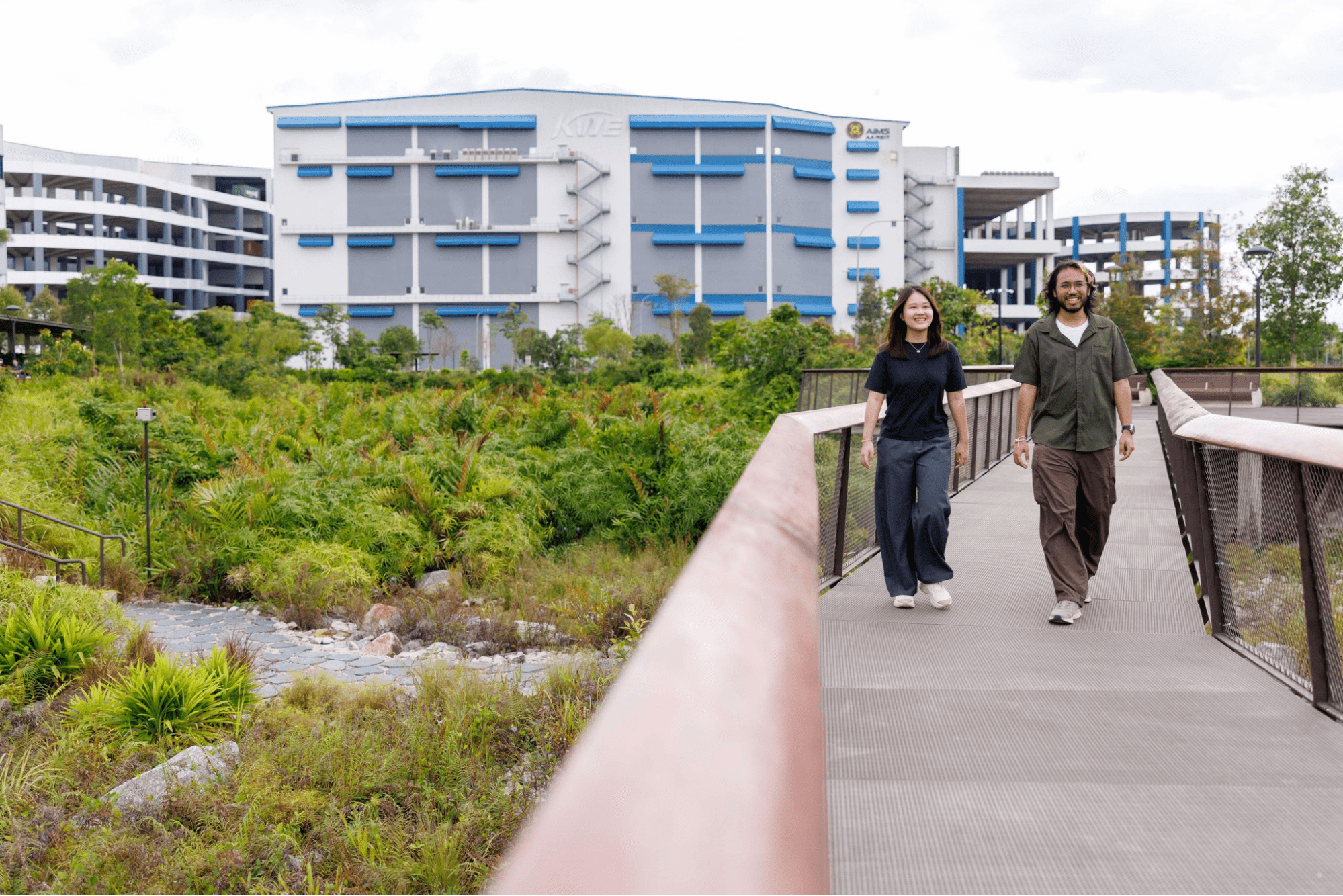 Rain Garden and Boardwalk