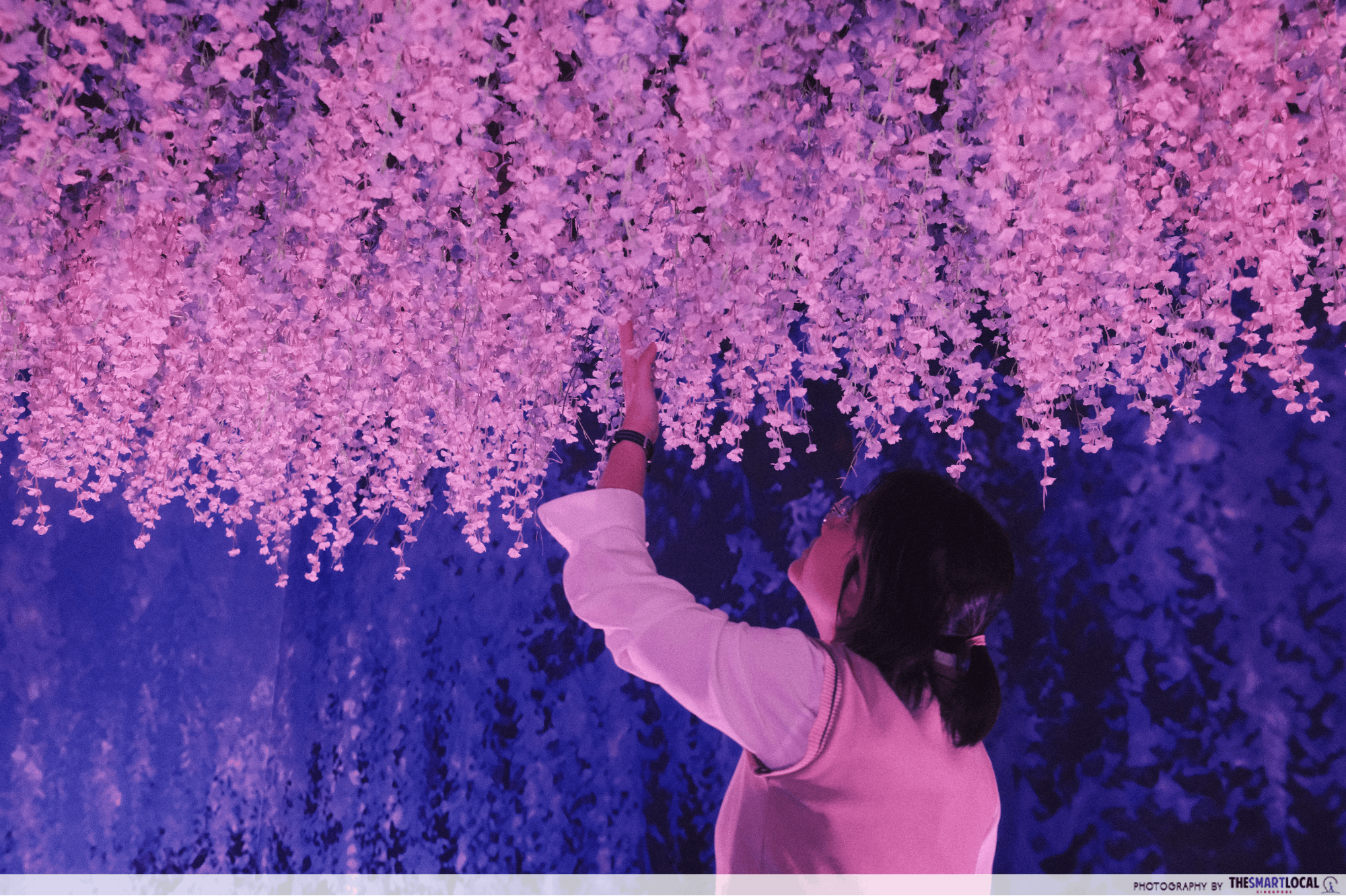 Demon Slayer Kimetsu no Yaiba Total Concentration Exhibition - wisteria flowers