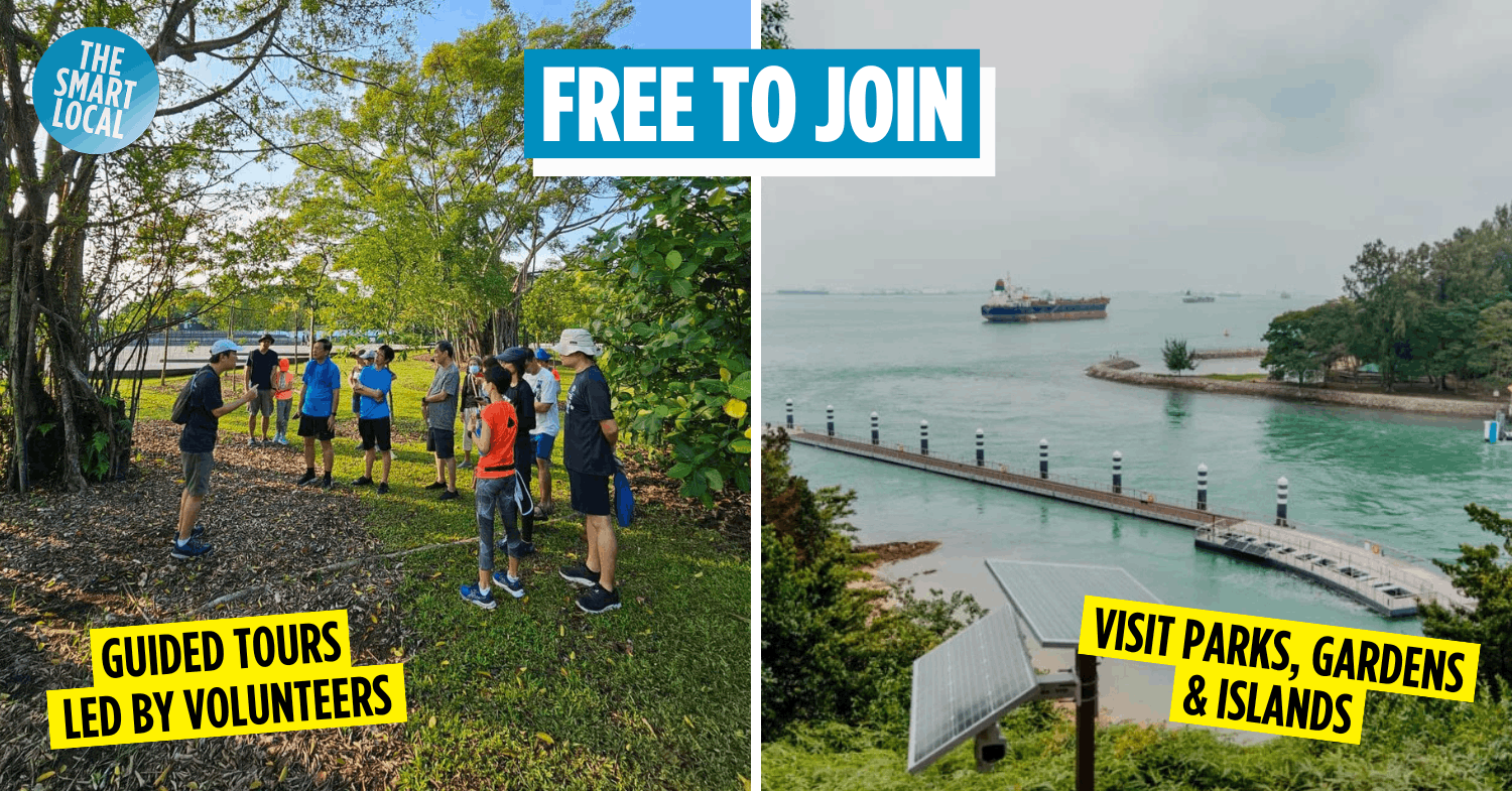 You Can Go On Free Nature Tours With NParks, Including Big Sister’s Island & The Gallop Extension