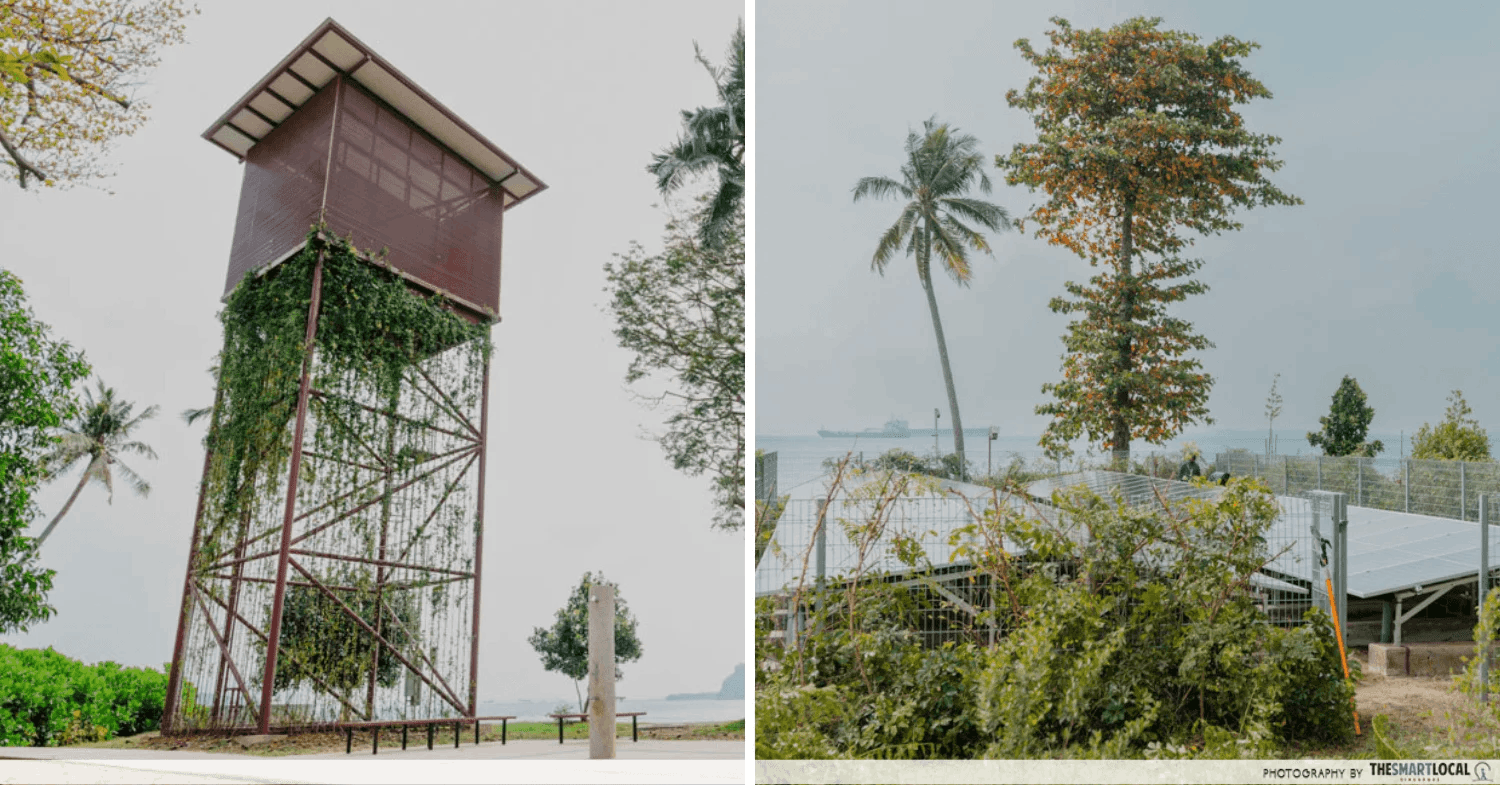 Big Sister's Island observatory