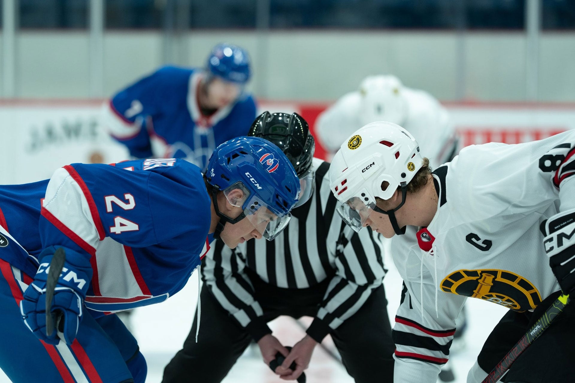 heated rivalry hockey