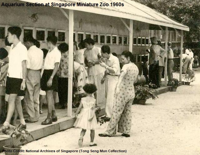 Singapore Miniature Zoo 1950s