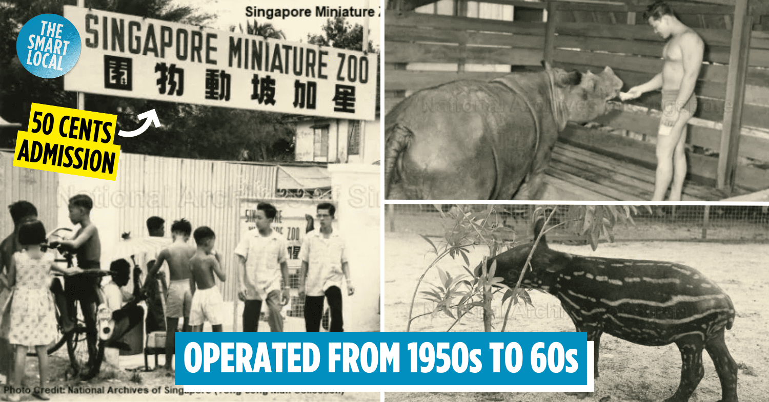 Singapore Miniature Zoo Nostalgia