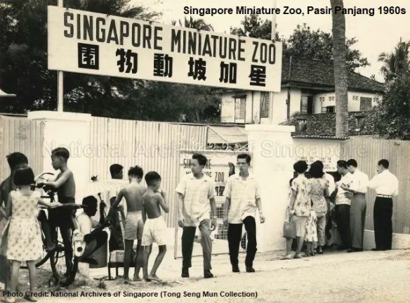 Singapore Miniature Zoo Pasir Panjang