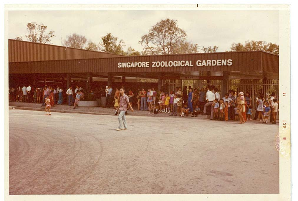 Singapore Zoological Gardens 1973
