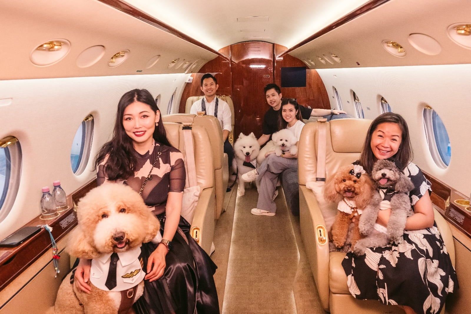 guide to travelling with pets - singapaw air