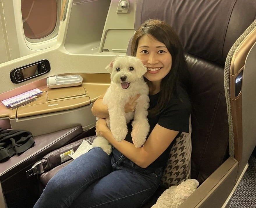 guide to travelling with pets - best airlines and crate/carrier restrictions