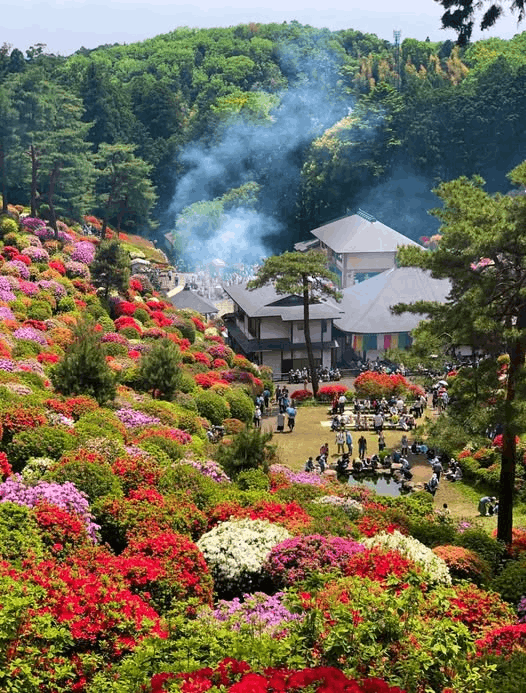 azaleas in Shiofune Kannon Temple