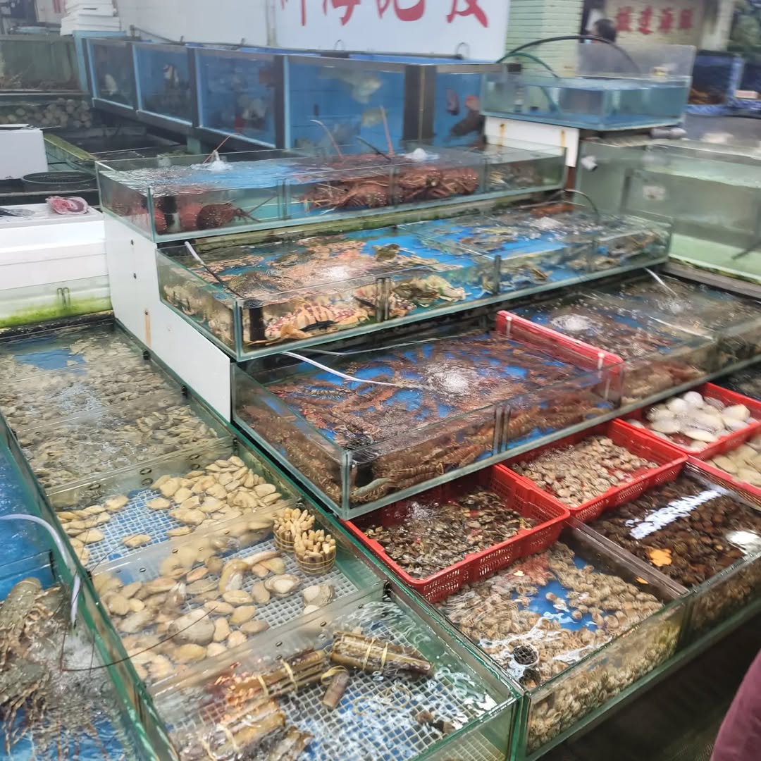 fresh shellfish at Sam Shing Hui Seafood Market