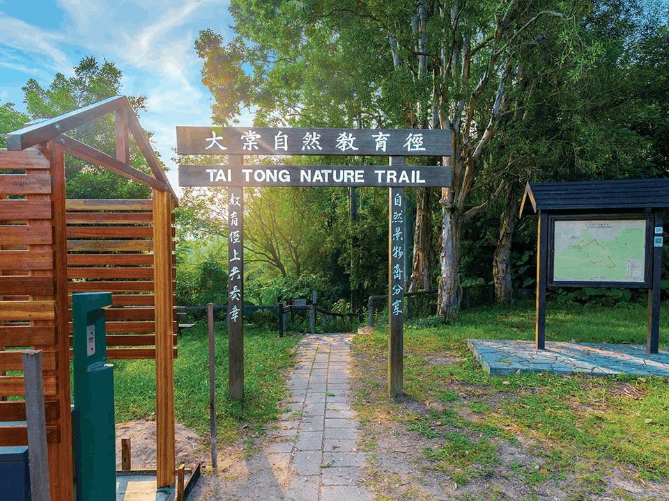 Tai Tong Nature Trail