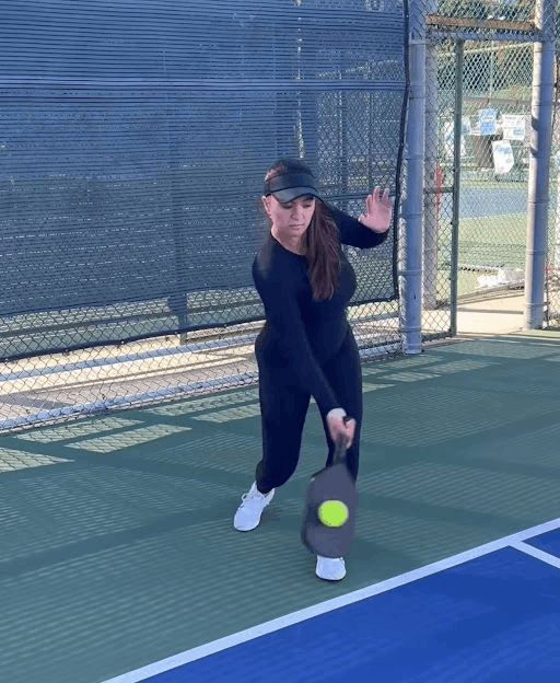 Beginner’s guide to pickleball - rules