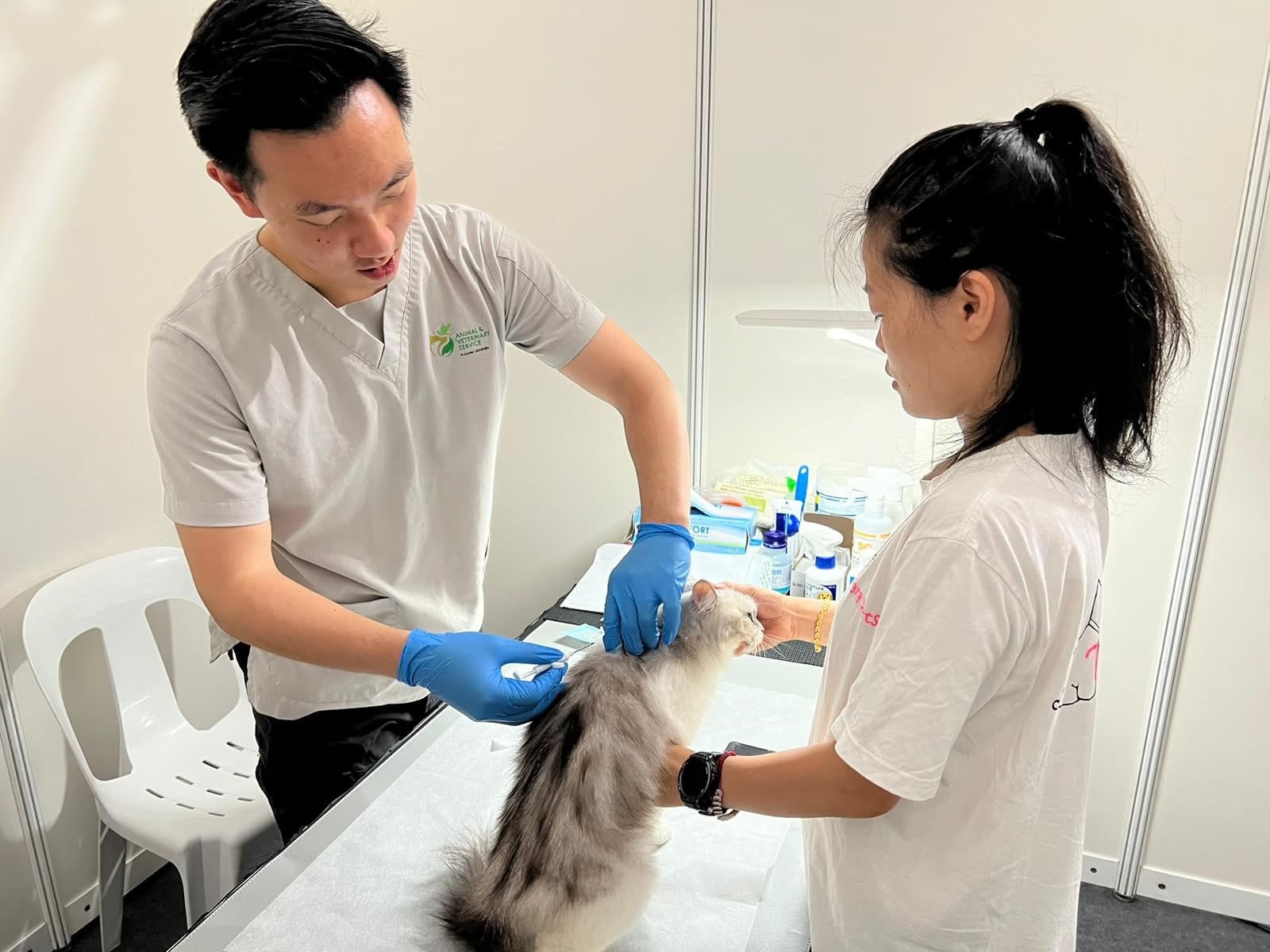 guide to travelling with pets - animal and veterinary service microchip requirement