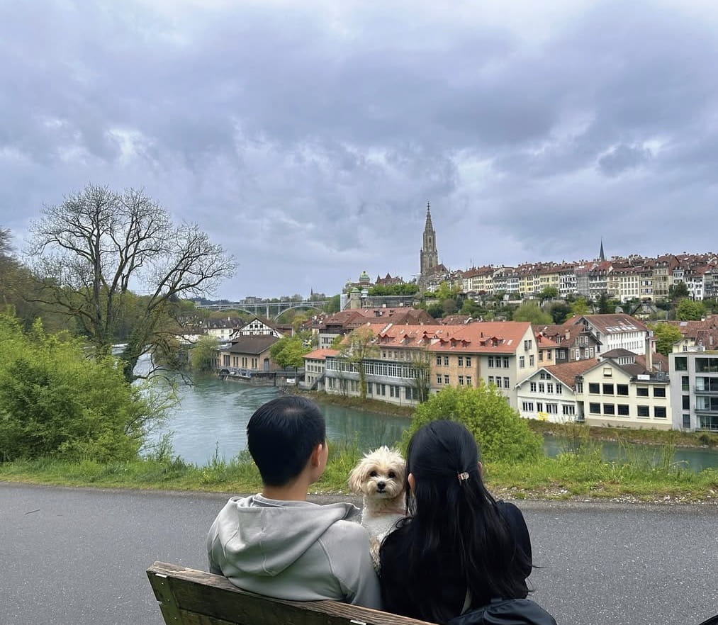 guide to travelling with pets - best countries to visit