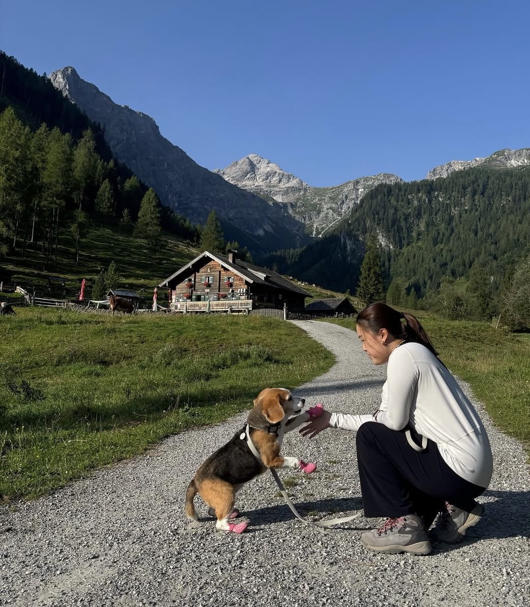 guide to travelling with pets - best countries to visit