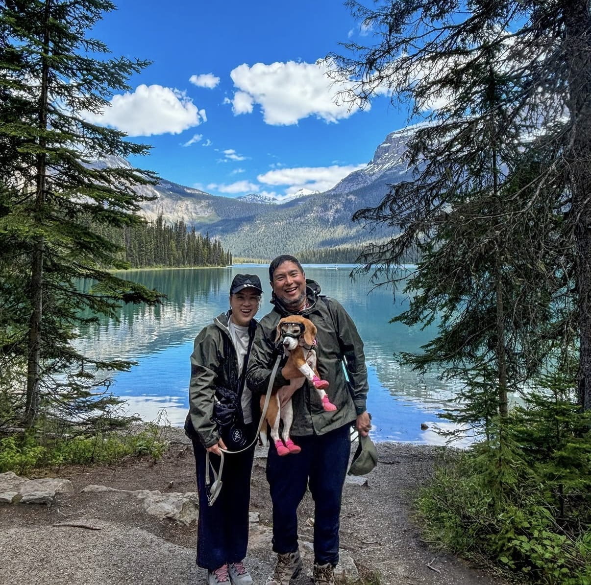 guide to travelling with pets - best countries to visit