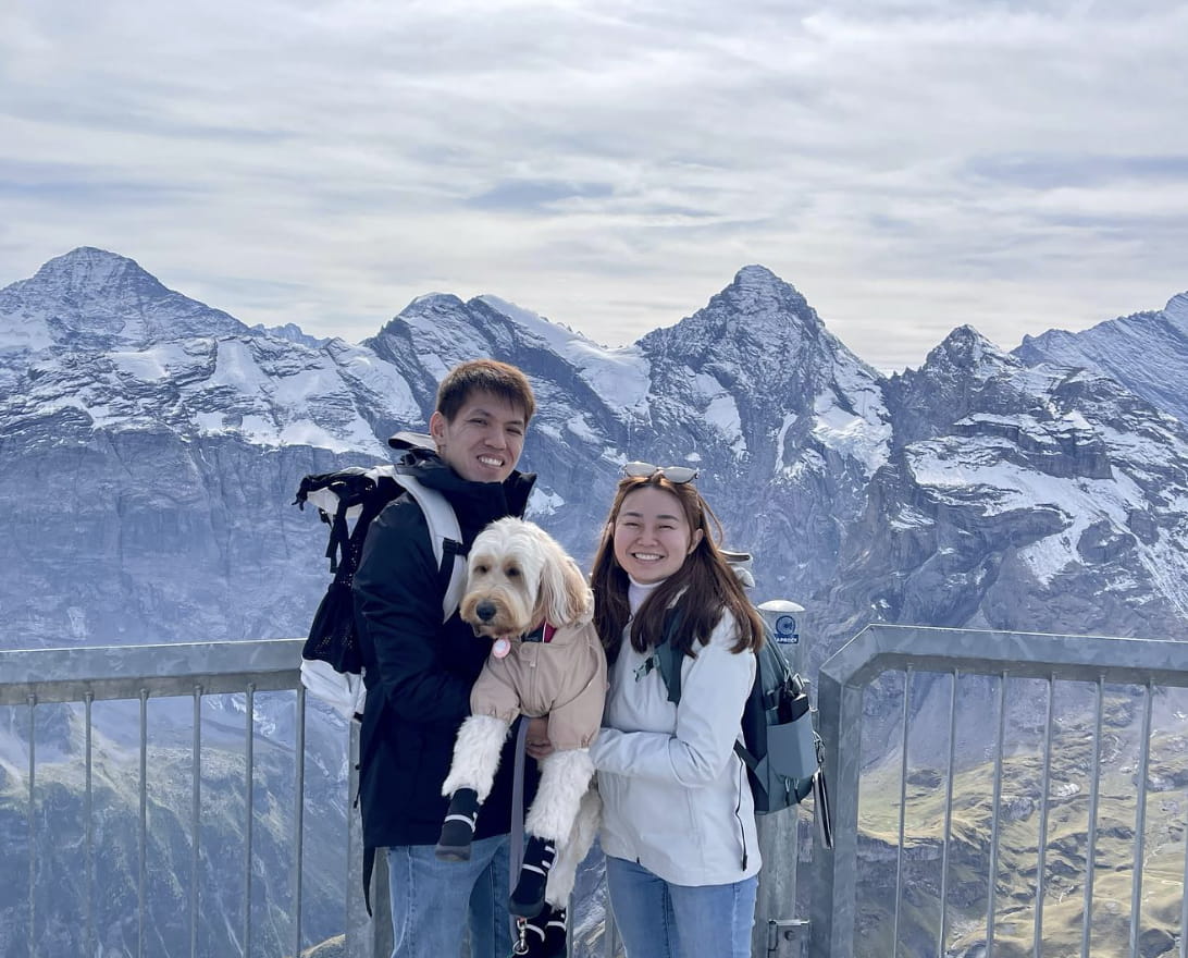 guide to travelling with pets - best countries to visit