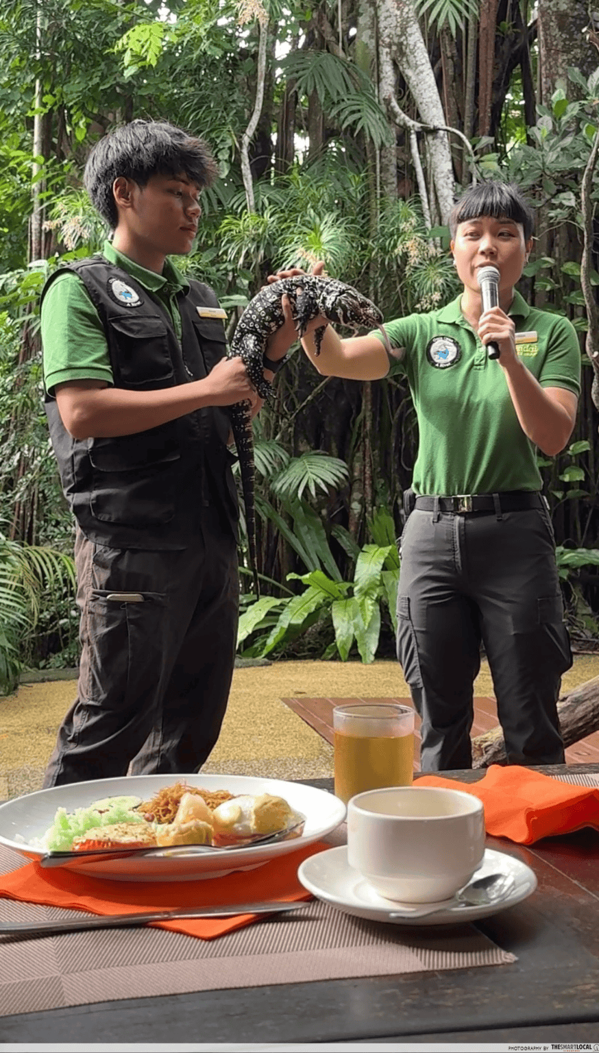 Breakfast in the Wild - Animal presentations