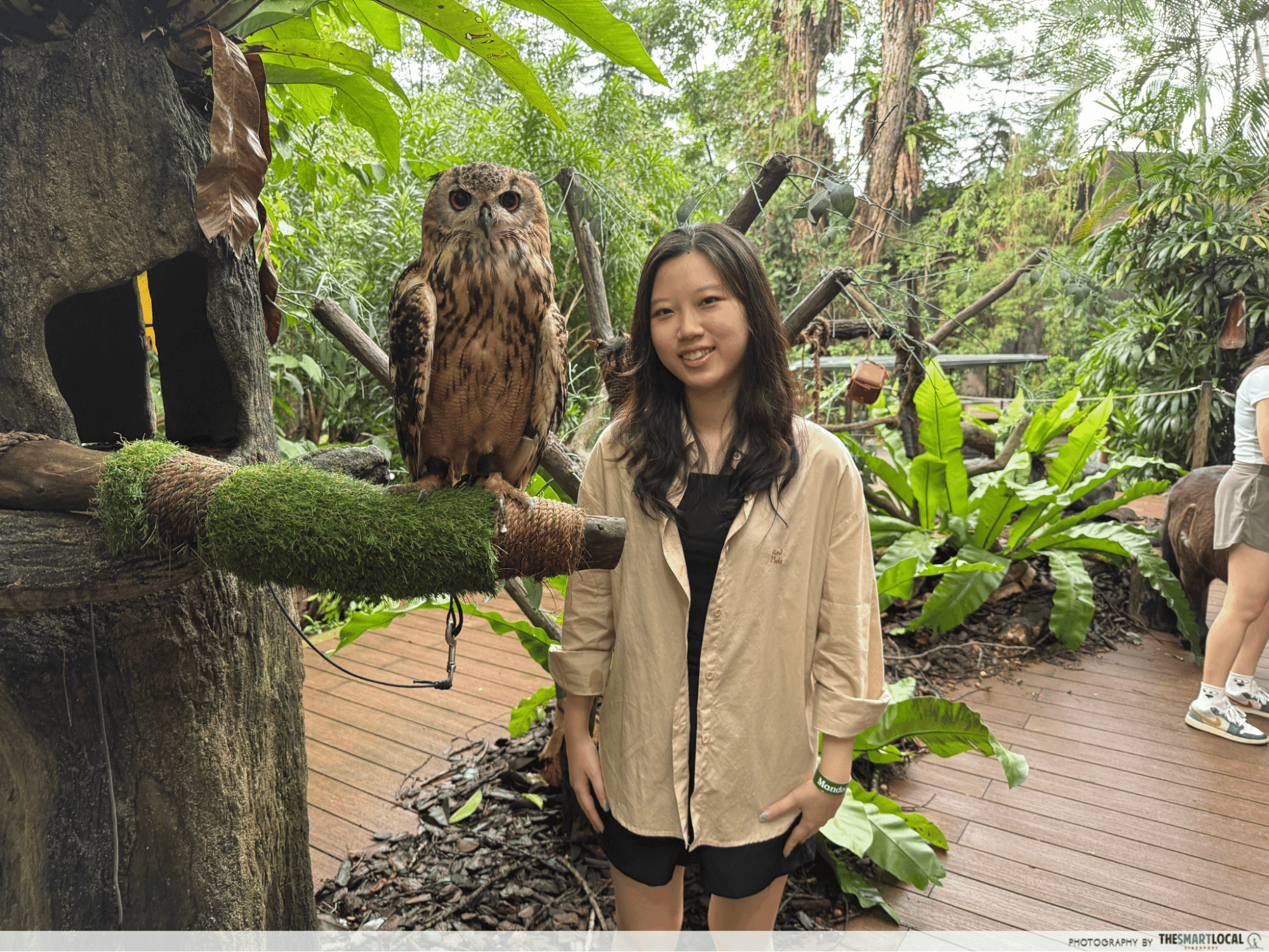 Singapore Zoo Breakfast in the Wild