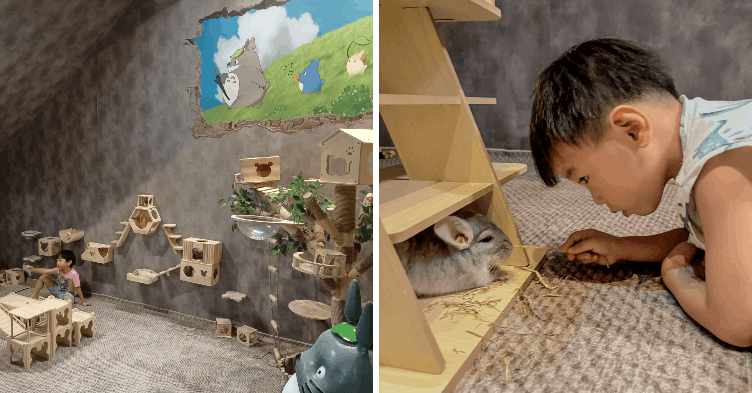 Chinchilla Trading