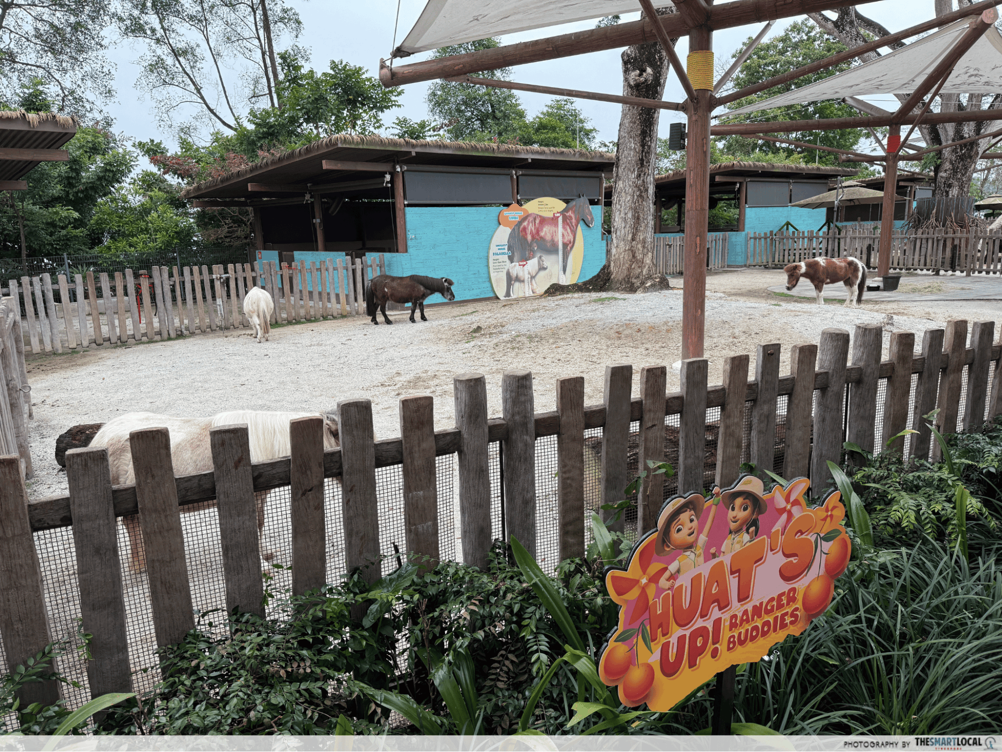 Falabella Enclosure Singapore Zoo