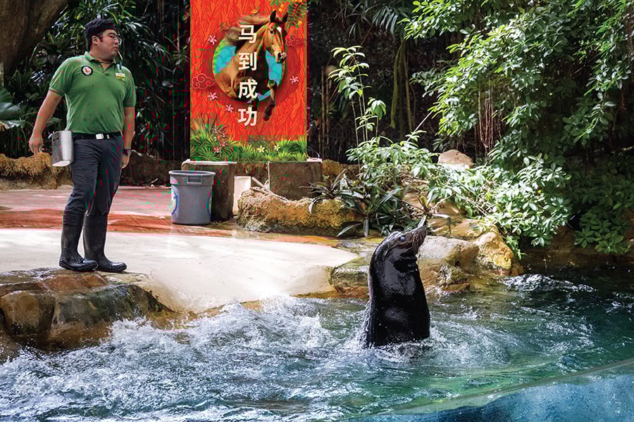 Mandai Wildlife Parks CNY 2026