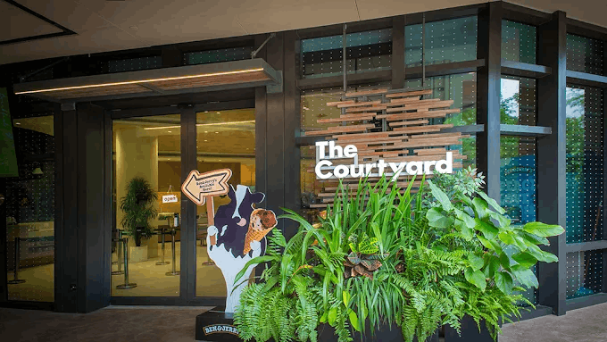 Mandai Wildlife Reserve - The Courtyard Cafe