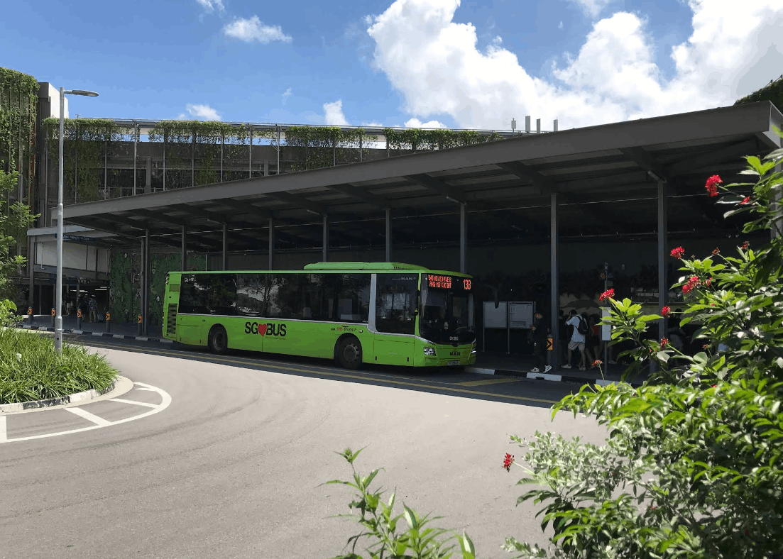 Singapore Zoo (48131) bus stop