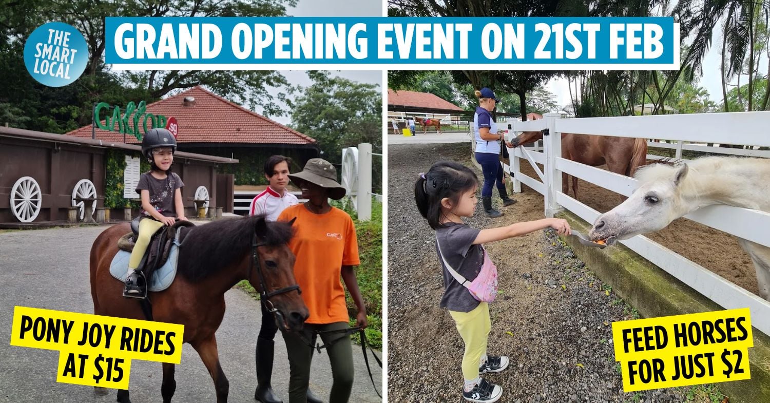 There’s A New Horse Stable At Sembawang That Rehabs Ex-Race Horses & Lets You Ride On Ponies