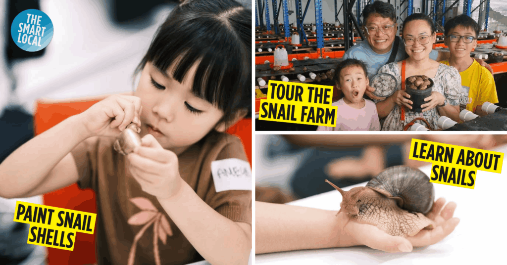 WholeSnail Snail Farm