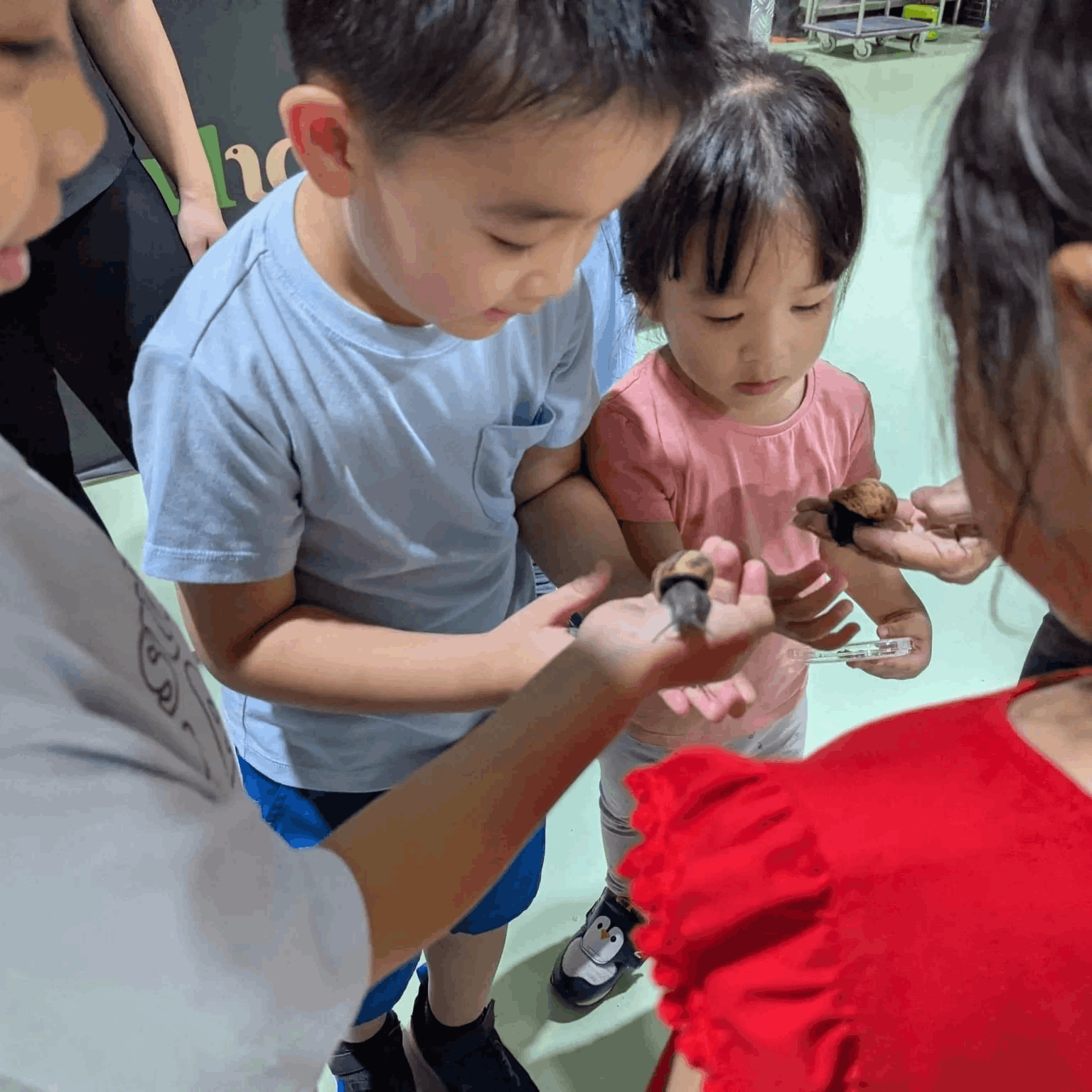 WholeSnail Snail Farm - Petting Zone