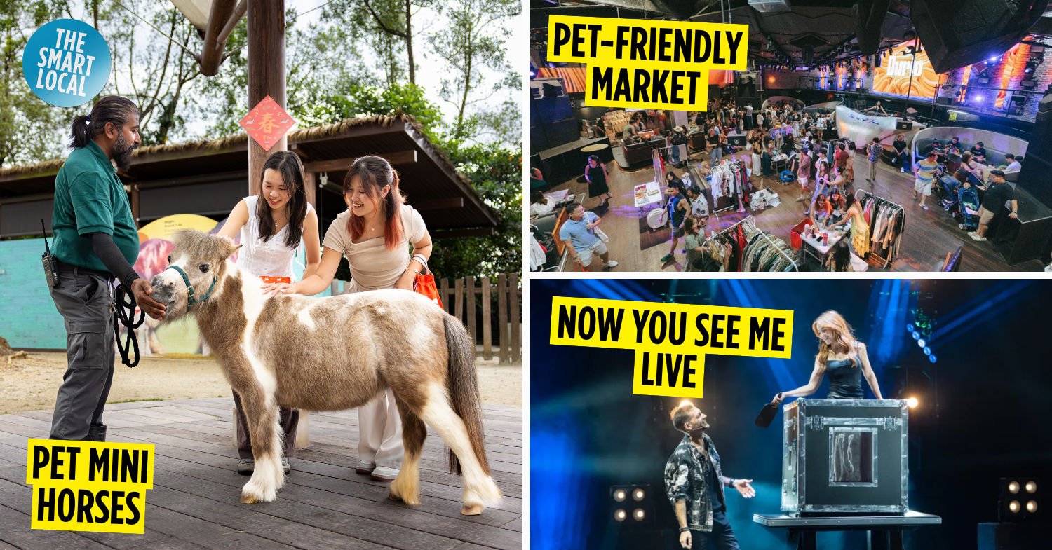 20 Best Things To Do This Weekend In Singapore – 20th-22nd February 2026