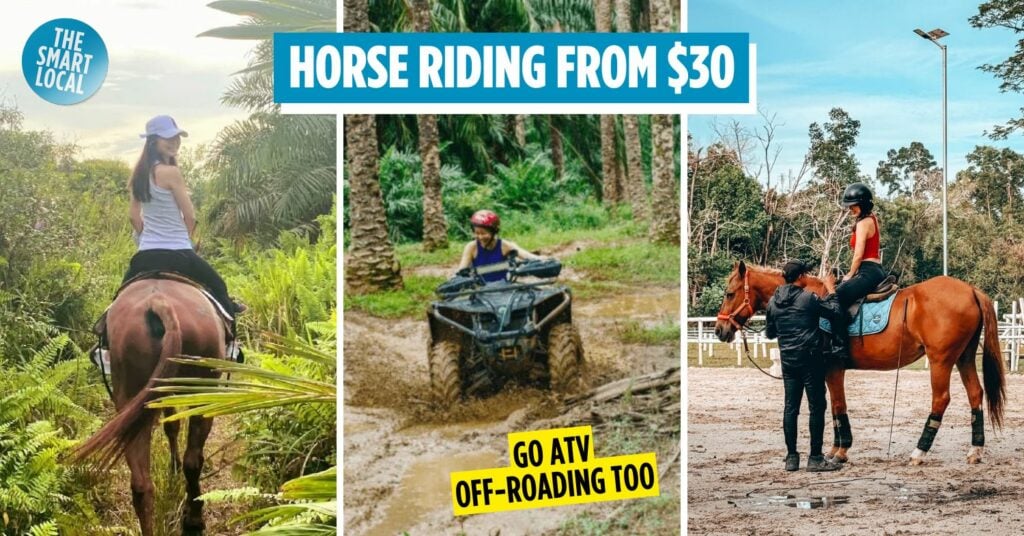 amigos horse riding - cover